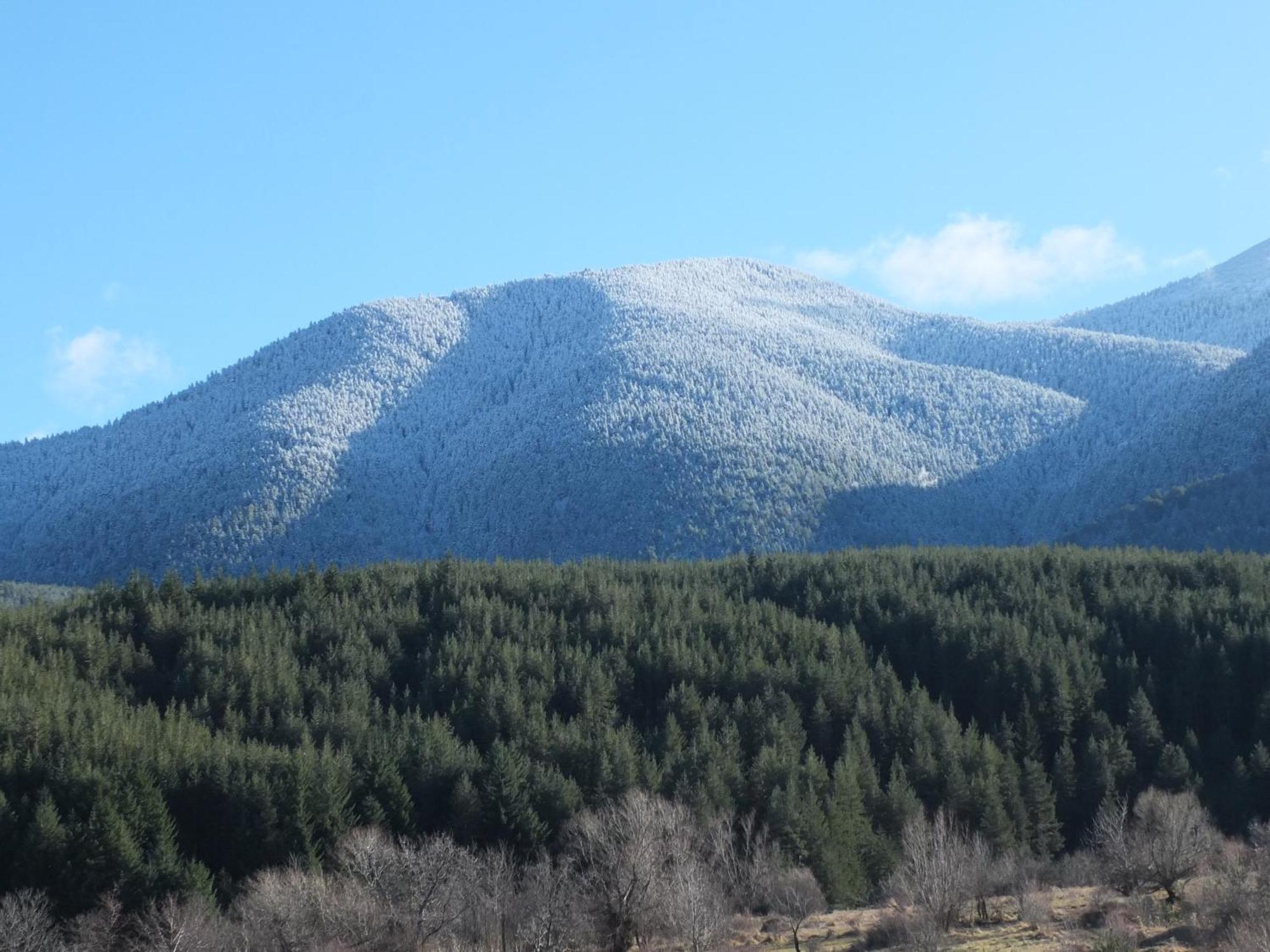 Pirin Heights A-21 Близо До Ски Пистата Bansko Exterior foto